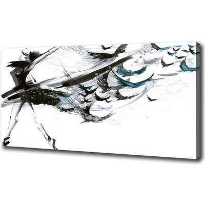Foto obraz na plátne do obývačky Baletka 100x50 cm