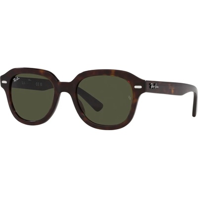 Ray-Ban Erik RB4398 902/31