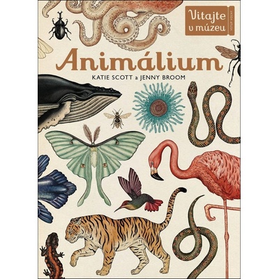 Animálium - Katie Scott ilustrácie, Jenny Broom ilustrácie