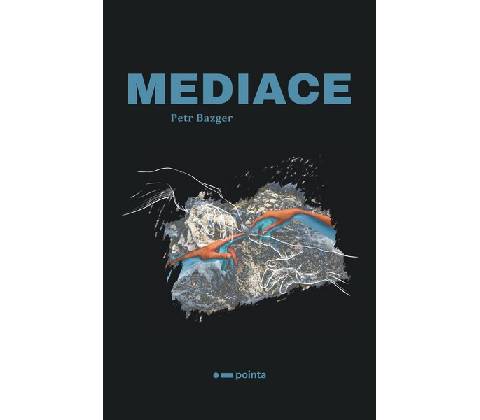 Mediace