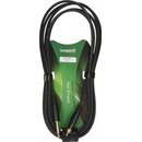 Bespeco EAJR300