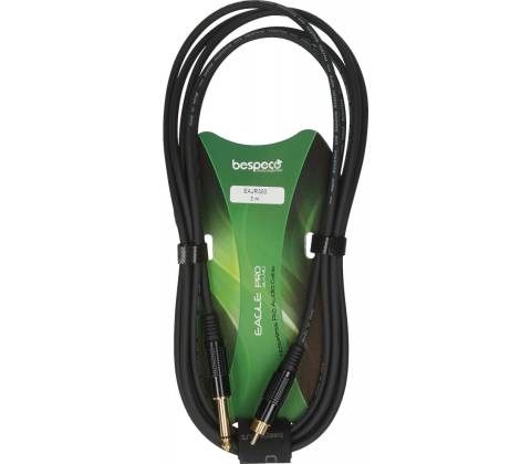 Bespeco EAJR300