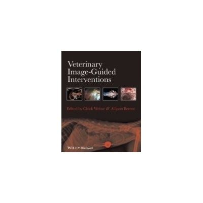 Veterinary Image-Guided Interventions