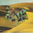 DJANGO DJANGO - DJANGO DJANGO LP