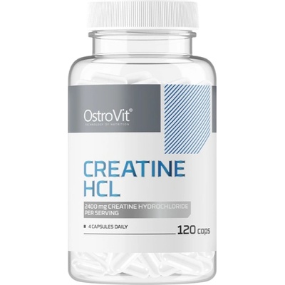 OstroVit Creatine HCL 2400 / Creatine Hydrochloride [120 капсули]