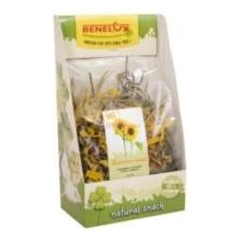 Benelux Grain Free Summer Salad 100 g