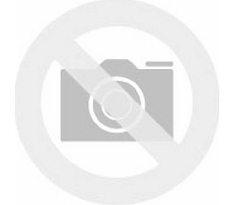 Olympus 8x40 DPS-I