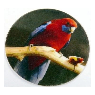 VIZINGR Rosela penant MAXI logo