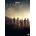 Eternals DVD