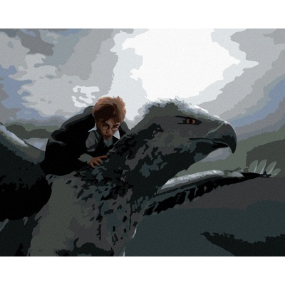 zuty Malování Podle Čísel Harry Potter Letící Na Klofanovi 40 x 50 Cm Plátno 8596530242567
