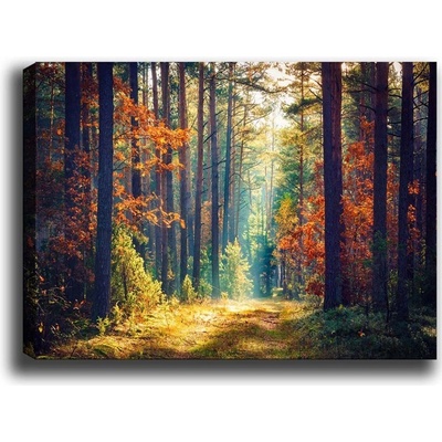 Wallity Obraz na plátně Miracle forest 50x70 cm