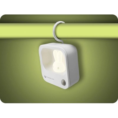 Forever Light RTV100552