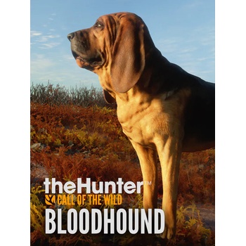 theHunter: Call of the Wild - Bloodhound