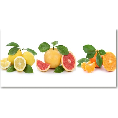 Foto obraz sklo tvrzené citrusové ovocie 100x50 cm