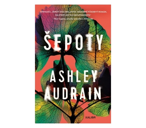 Šepoty