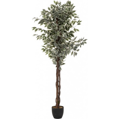 Atmosphera Vysoký umělý fíkus s květináčem, dvoubarevný, výška 180 cm