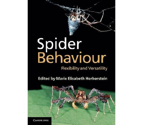 Spider Behaviour