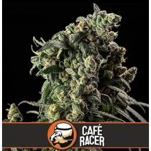 Blimburn Seeds Café Racer semena neobsahují THC 6 ks