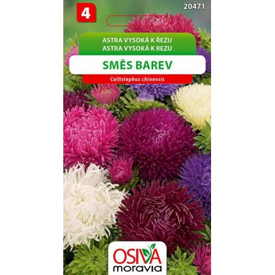 Semínka Astra vysoká k řezu směs barev (Callistephus chinensis)