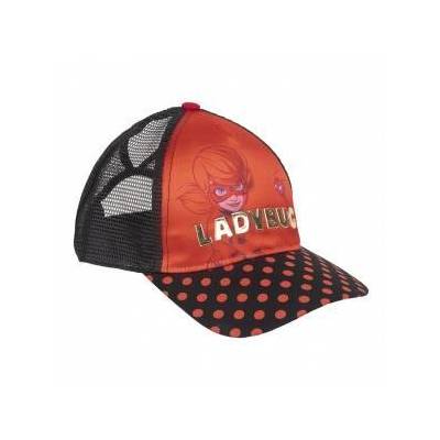 2200009015 Шапка lady bug