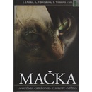Mačka