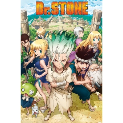 Plagát, Obraz - DR. Stone - Group, 61 × 91.5 cm
