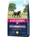 Eukanuba Puppy Large Breed kuracie 2 x 15 kg