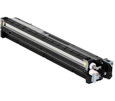 Ricoh D1773020 - originální