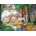 Gibsons - Puzzle New Forest Ponies - 1 000 piese