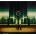 The Last Goodbye - Odesza CD