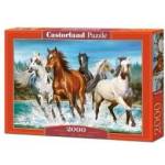 Castorland Puzzle 2000 pcs. Call of nature