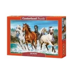 Castorland Puzzle 2000 pcs. Call of nature