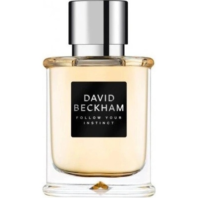 David Beckham Follow Your Instinct toaletná voda pánska 50 ml tester