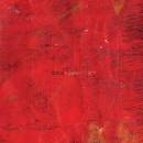 Luminous Rot - Nadja CD