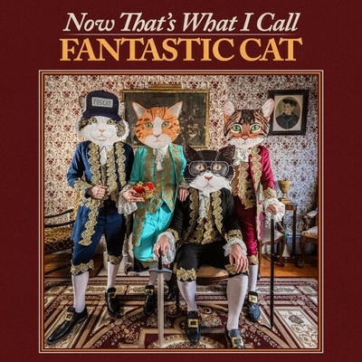 FANTASTIC CAT - NOW THAT\'S WHAT I CALL F 1 CD