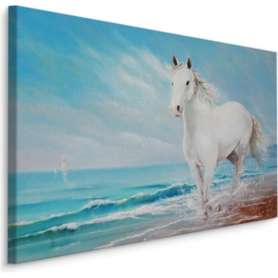 MyBestHome BOX Plátno Bílý Kůň Na Pobřeží Varianta: 70x50