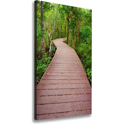 Vertikálny foto obraz na plátne Chodník v džungli 50x100 cm