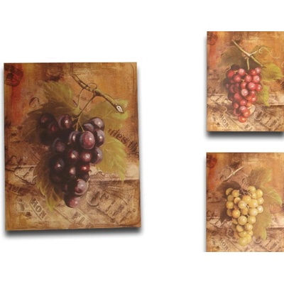 Obraz "GRAPES" 41x51x3/3dr.
