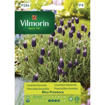 Levandule hlávkovitá Bleu Provence Vilmorin Premium 0,3 g