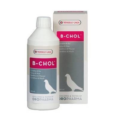 VL Oropharma B-Chol 500ml