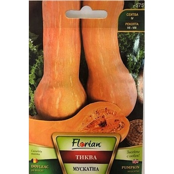 Image 1 of Флориан Тиква mускатна (оребрена виола)