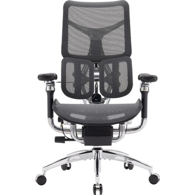 Sihoo Doro S300 Mesh