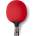 Butterfly Timo boll specialist