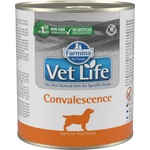 Vet Life Convalescence 300 g