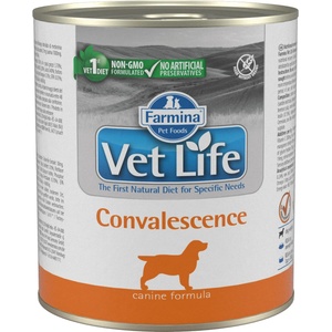 Vet Life Convalescence 300 g