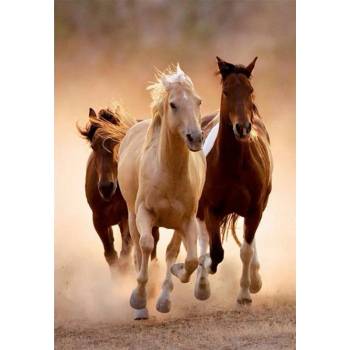Image 1 of Clementoni - Puzzle Compact Running horses - 1 000 piese