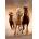Clementoni - Puzzle Compact Running horses - 1 000 piese