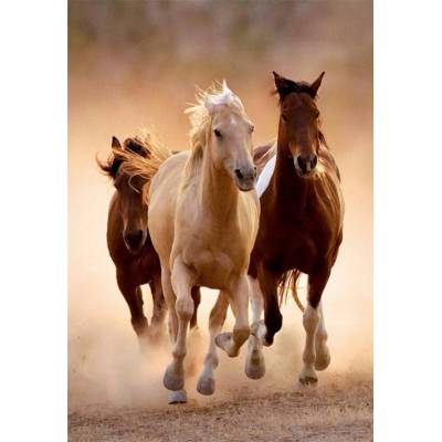 Clementoni - Puzzle Compact Running horses - 1 000 piese