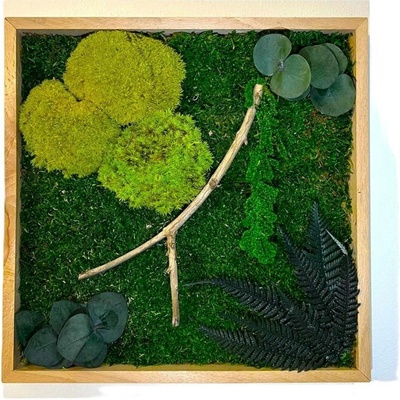 Mechový obraz s rostlinami 3D - čtverec Velikost: 50x50cm