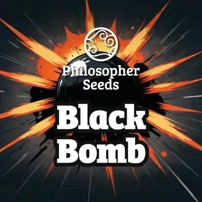Philosopher Seeds Black Bomb semena neobsahují THC 3 ks